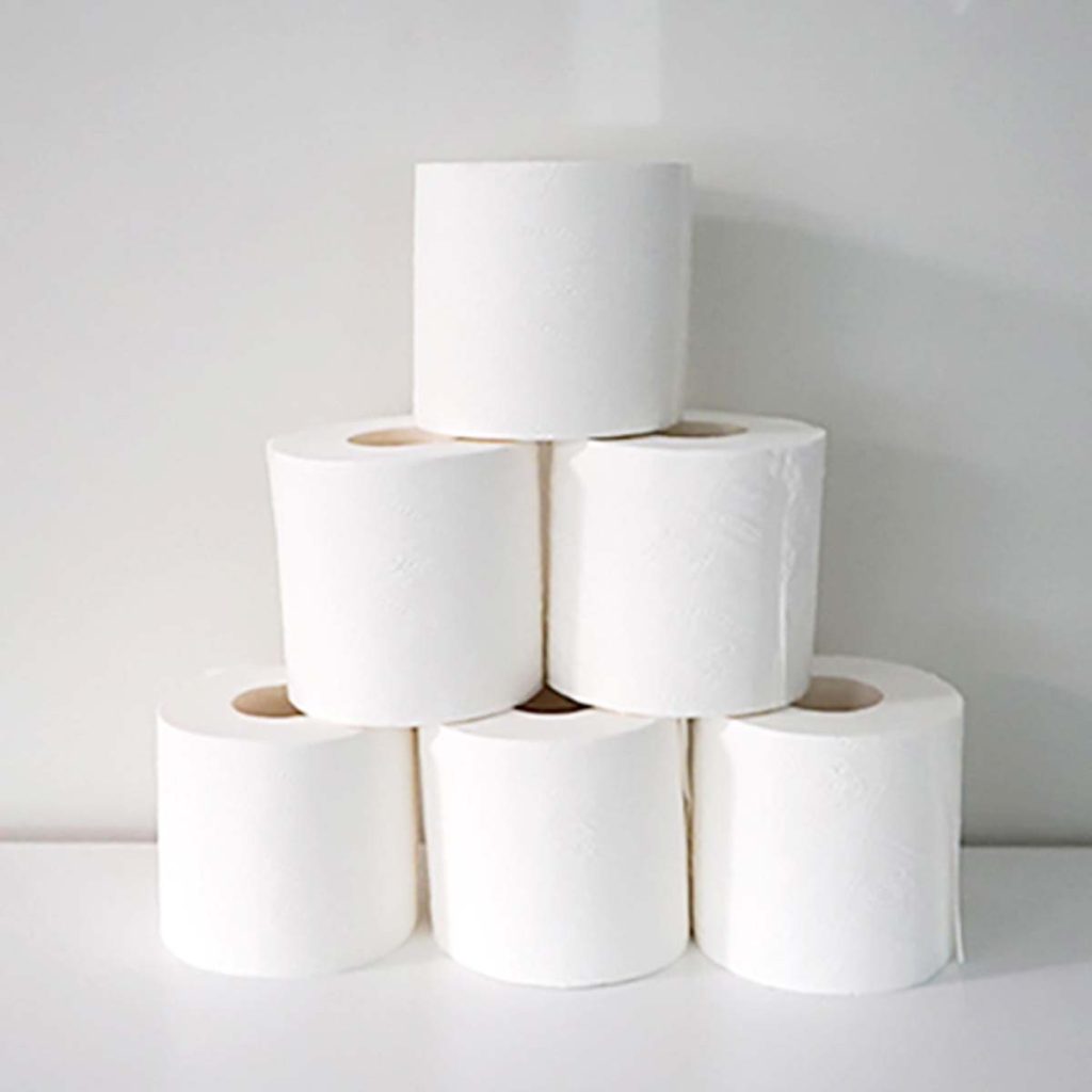 Jumbo Toilet Paper Roll 300m Trugrade